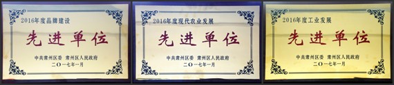 20170121154248316 20170121154248316