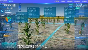 3月16日，央视新闻频路报路，今日，疏勒河灌区多个渠首陆续开闸，借助数字孪生等技术，134万亩农田得以畅饮“智慧”水，实现了水资源的高效利用和农田的精准灌溉。