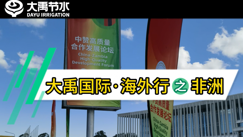 问鼎娱乐app国际·海表行之非洲