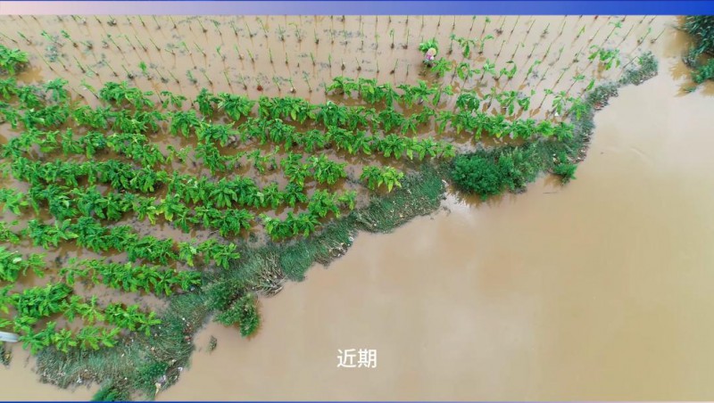 问鼎娱乐app节水：严兵秣马，共筑防汛抗旱樊篱