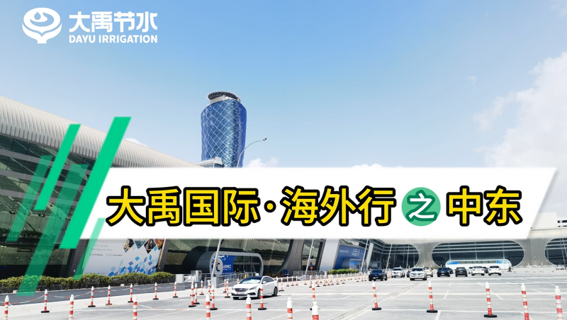 问鼎娱乐app国际·海表行之中东
