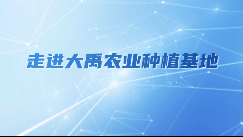 问鼎娱乐app农业| 多元化种植基地矩阵，索求农业现代化新蹊径